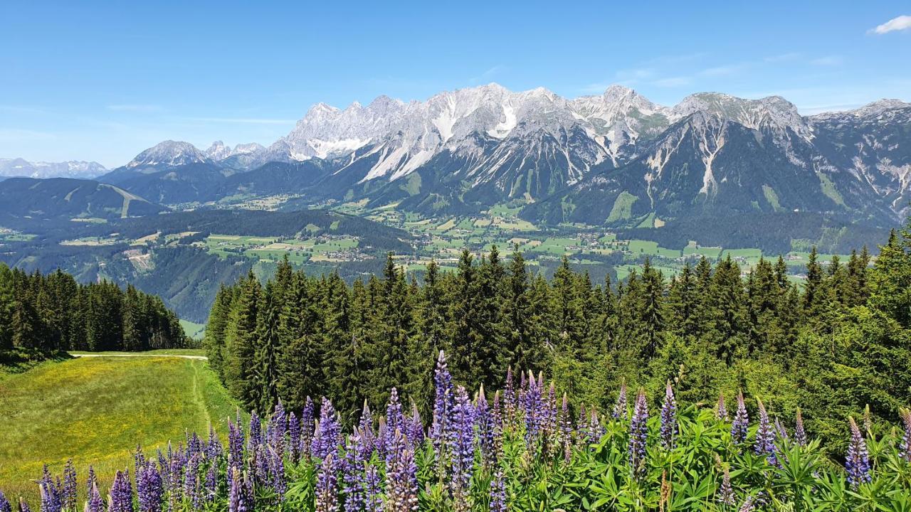 فيلا Schmiedlehnerhof Birnberg المظهر الخارجي الصورة