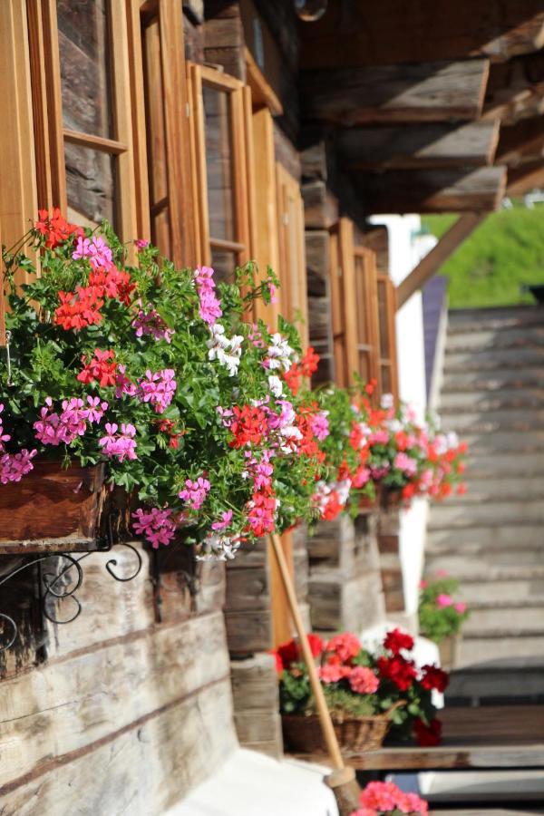 فيلا Schmiedlehnerhof Birnberg المظهر الخارجي الصورة